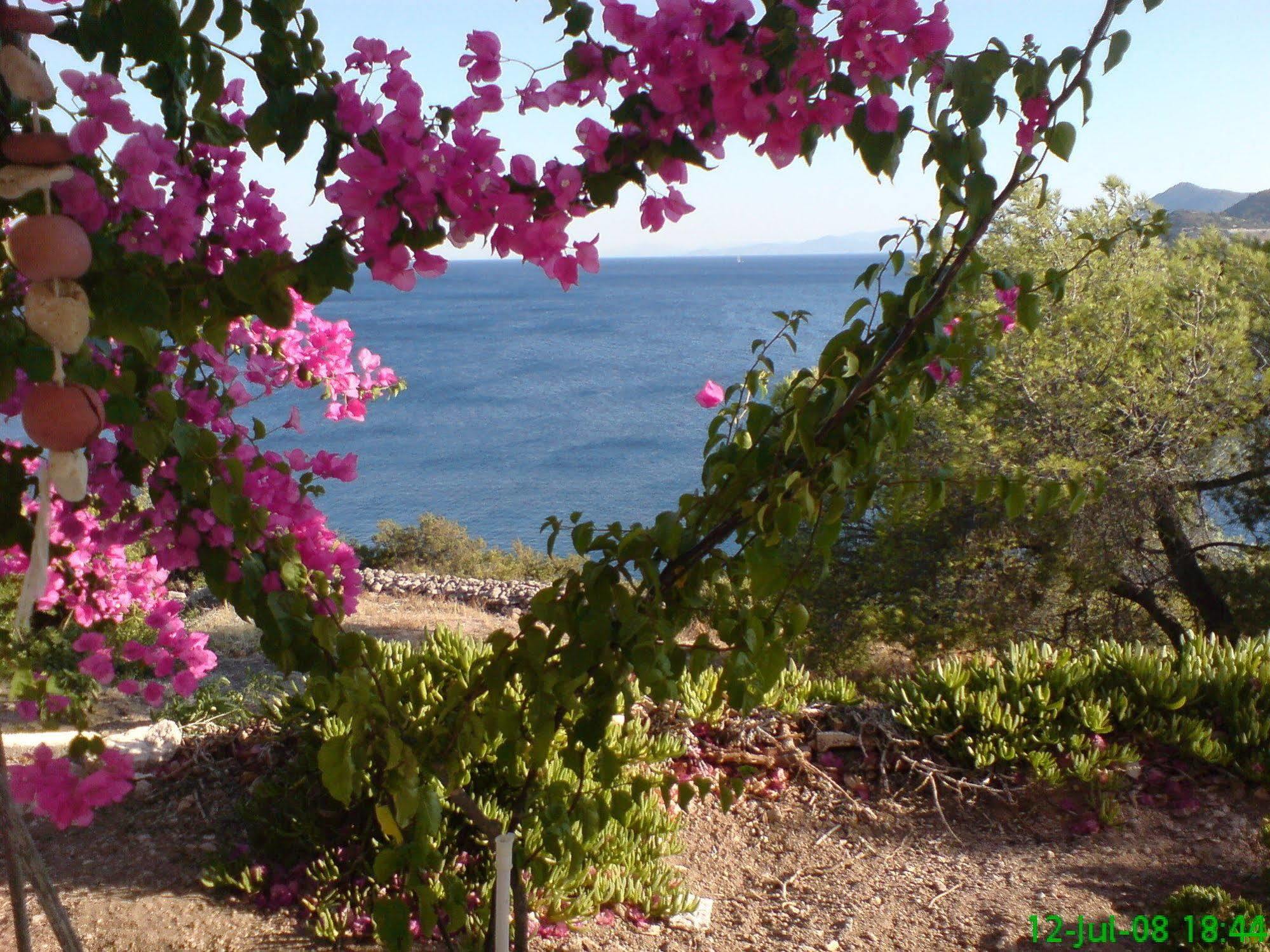 Kavos Bay Seafront Hotel Agia Marina  Bagian luar foto