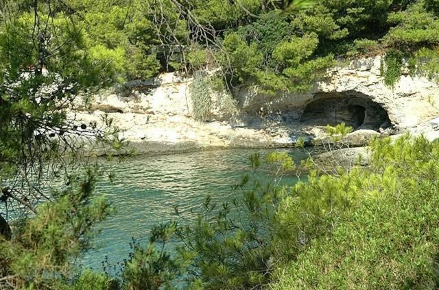 Kavos Bay Seafront Hotel Agia Marina  Bagian luar foto